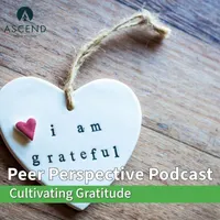 Peer Perspective artwork