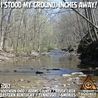 Bigfoot Society artwork