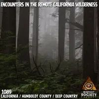Bigfoot Society artwork