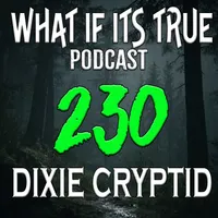 What if it's True Podcast artwork