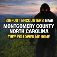 SASQUATCH THEORY artwork