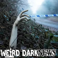 Weird Darkness: Paranormal & True Crime Stories artwork