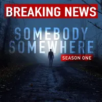 Somebody Somewhere artwork