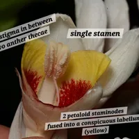Crime Pays But Botany Doesn't artwork