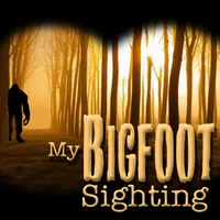 My Bigfoot Sighting artwork