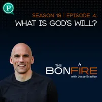The Bonfire with Jesse Bradley artwork