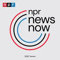 NPR News Now artwork