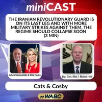 77 WABC MiniCasts artwork