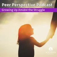 Peer Perspective artwork