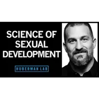 Huberman Lab artwork