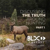 Blood Origins artwork