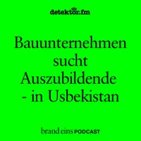 brand eins-Podcast artwork