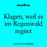 brand eins-Podcast artwork