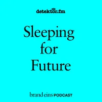 brand eins-Podcast artwork