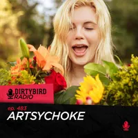 Dirtybird Radio artwork