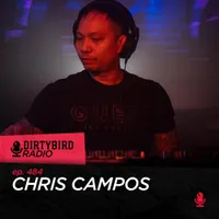 Dirtybird Radio artwork