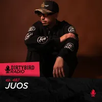Dirtybird Radio artwork