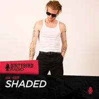 Dirtybird Radio artwork
