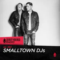 Dirtybird Radio artwork
