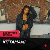 Dirtybird Radio artwork