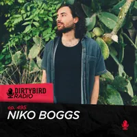 Dirtybird Radio artwork