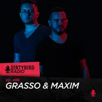 Dirtybird Radio artwork