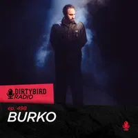 Dirtybird Radio artwork