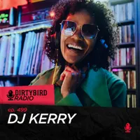 Dirtybird Radio artwork