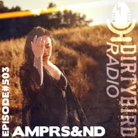 Dirtybird Radio artwork