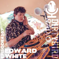 Dirtybird Radio artwork