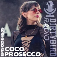 Dirtybird Radio artwork