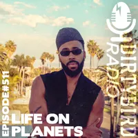 Dirtybird Radio artwork
