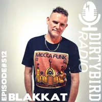 Dirtybird Radio artwork