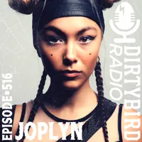 Dirtybird Radio artwork