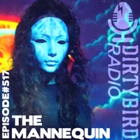 Dirtybird Radio artwork
