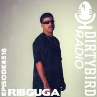 Dirtybird Radio artwork