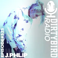 Dirtybird Radio artwork