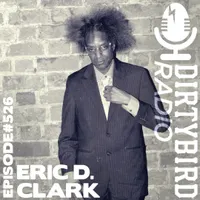 Dirtybird Radio artwork