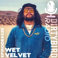 Dirtybird Radio artwork