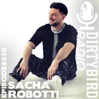 Dirtybird Radio artwork