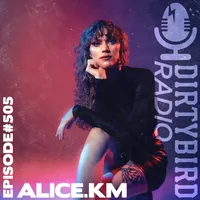 Dirtybird Radio artwork