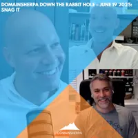 DomainSherpa.com artwork
