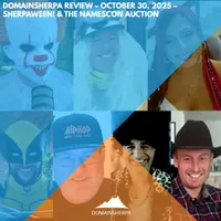 DomainSherpa.com artwork