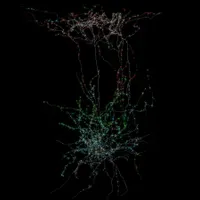 The Best Of Our Knowledge artwork