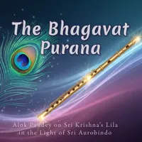 AuroMaa Daily artwork