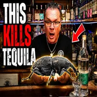 Tasting Tequila with Brad artwork