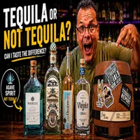 Tasting Tequila with Brad artwork