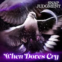 Snap Judgment artwork