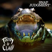 Snap Judgment artwork