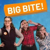 But Why: A Podcast for Curious Kids artwork